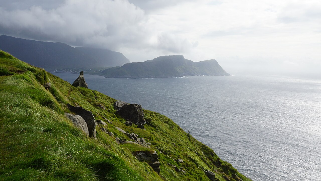 Runde island Norway bird cliffs seabird colony