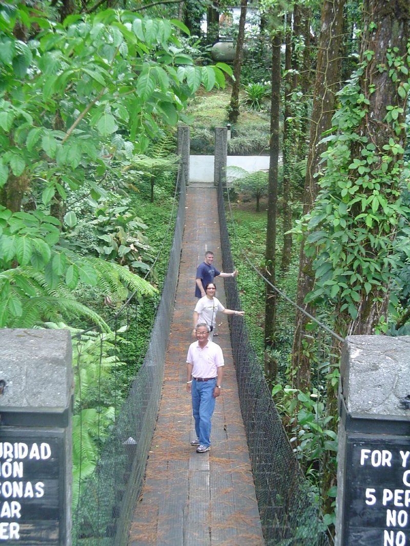 Mistico Arenal Hanging Bridges Park suspension bridges through rainforest