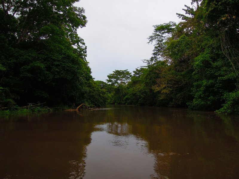 Caño Negro National Wildlife Refuge wetland channels