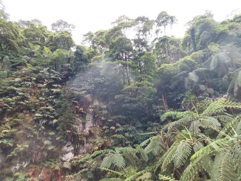 Caldeira Velha hot spring waterfall and thermal pool in fern forest