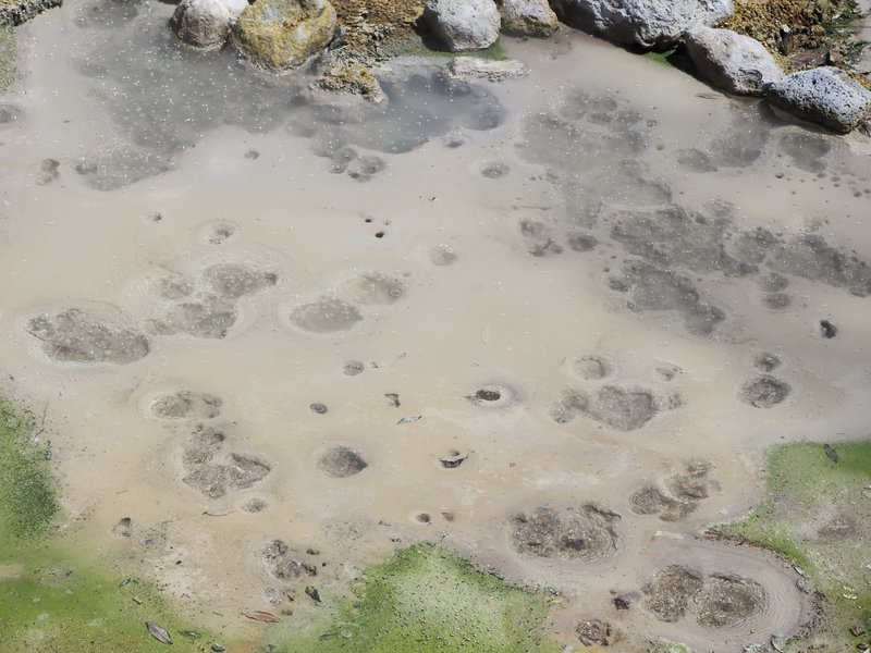 Steaming fumaroles and boiling mud calderas at Furnas