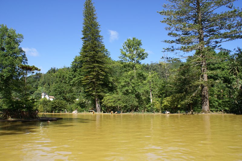 Terra Nostra thermal pool surrounded by tropical gardens and tree ferns