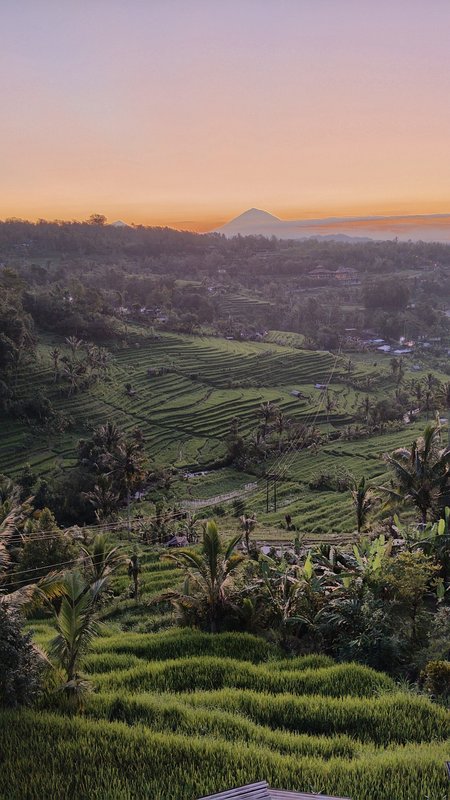 Jatiluwih rice terraces