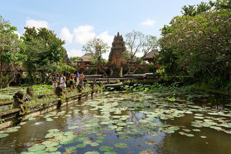 Lotus pond, Pura Taman Saraswati
