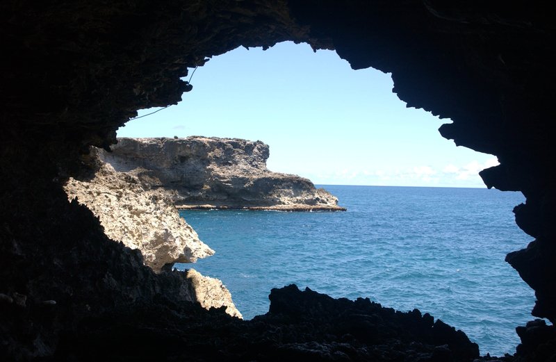 Animal Flower Cave — interior sea cave with turquoise rock pools, Barbados