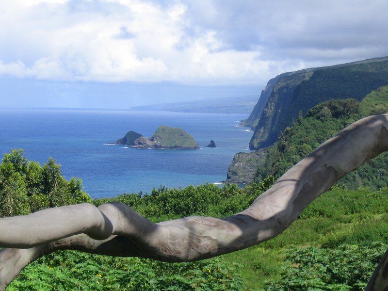 Pololu Valley, Kohala Coast, Hawaiʻi Island