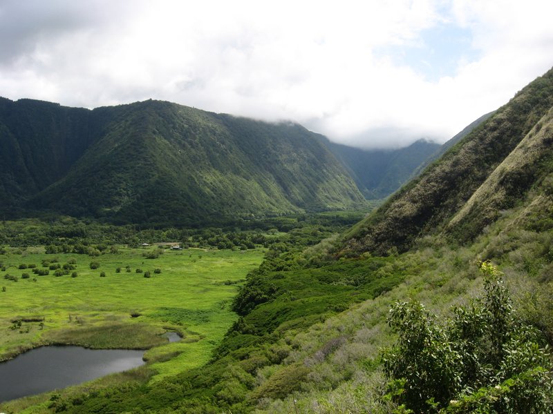 Waipiʻo Valley, Hamakua Coast, Hawaiʻi Island