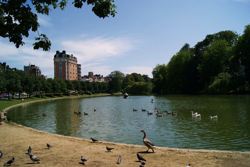 Étangs d'Ixelles