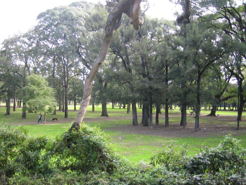Parque 3 de Febrero – Bosques de Palermo, Buenos Aires