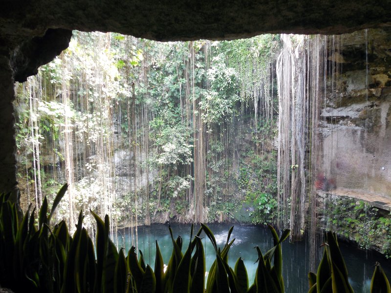 Cenote Ik Kil open-sky sinkhole with vines · Yucatán