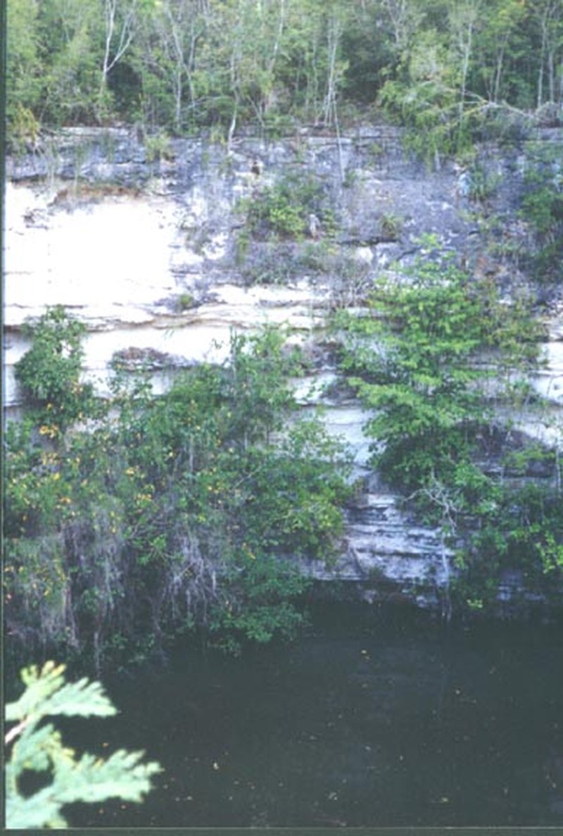 Sacred Cenote sinkhole at Chichén Itzá