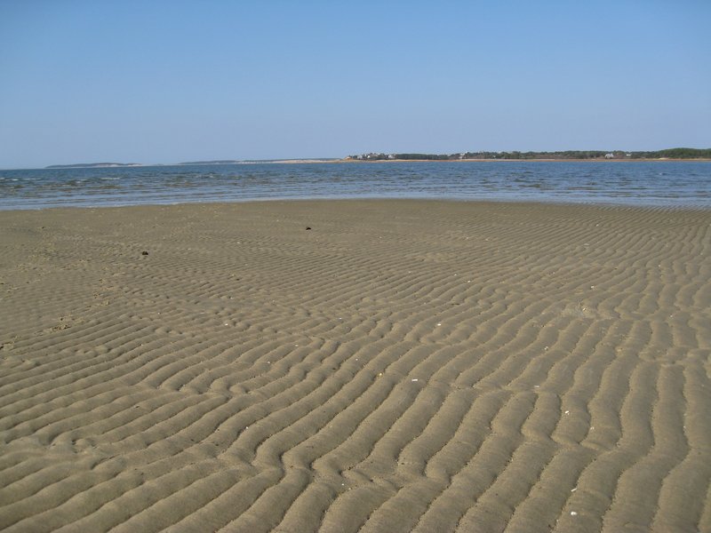 Wellfleet Bay Wildlife Sanctuary