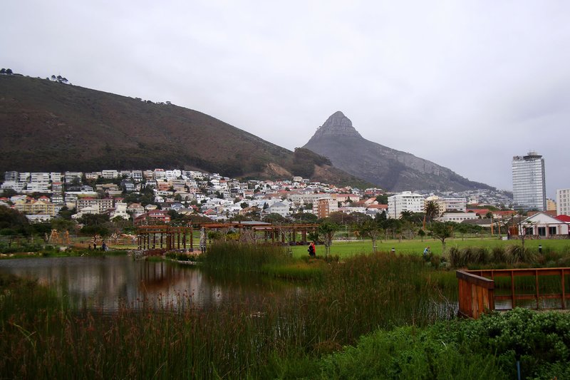 Green Point Urban Park