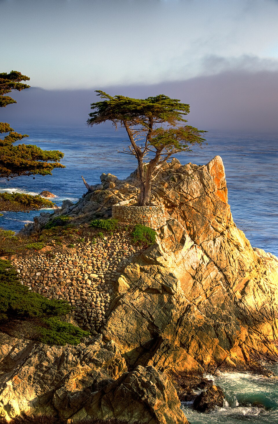 Lone Cypress on 17-Mile Drive