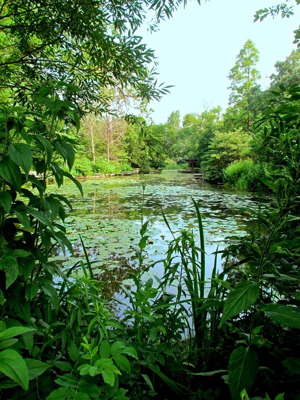 Alfred Caldwell Lily Pool, Lincoln Park, Chicago