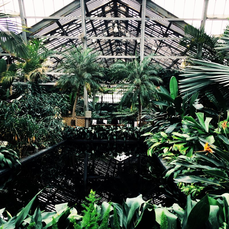Palm House interior, Garfield Park Conservatory, Chicago