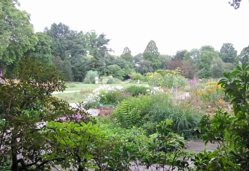 Botanical Garden Flora