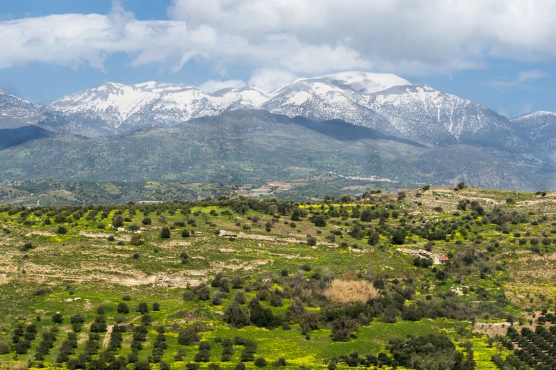Phaistos