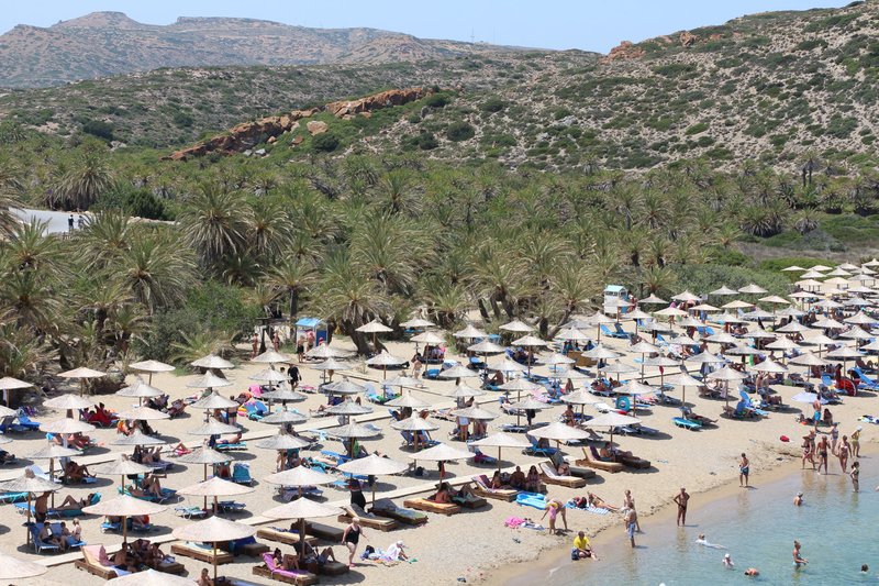Vai Beach palm grove, Eastern Crete