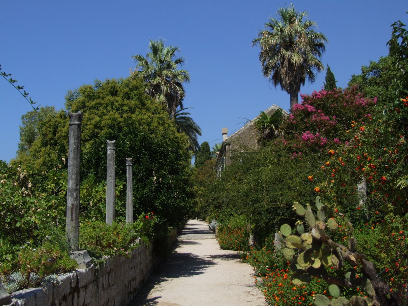 Tree-lined paths and fountain in Trsteno Arboretum