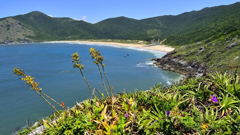 Lagoinha do Leste remote pristine beach Florianópolis