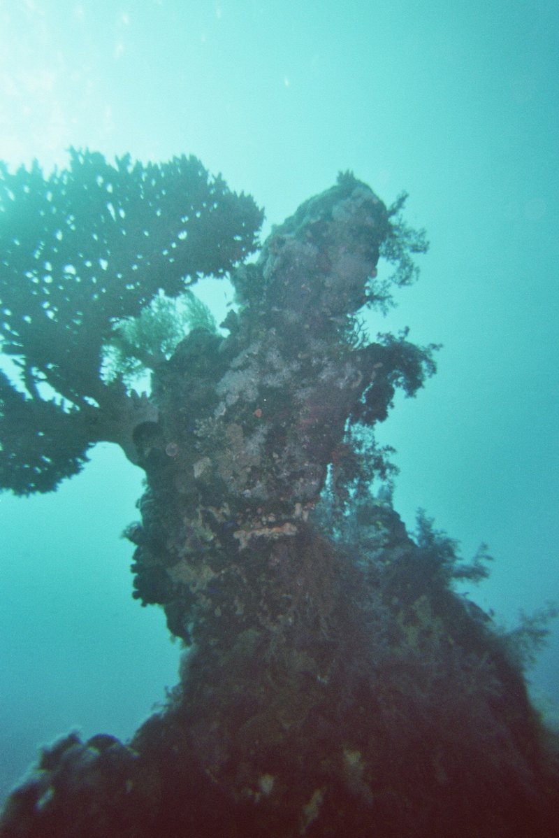 Coral Reef Snorkel Site