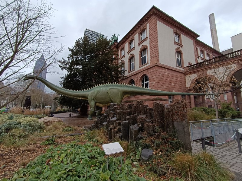 Senckenberg Museum · Frankfurt