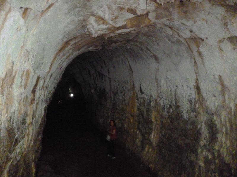 Lava tunnel beneath the highlands of Santa Cruz, Galápagos