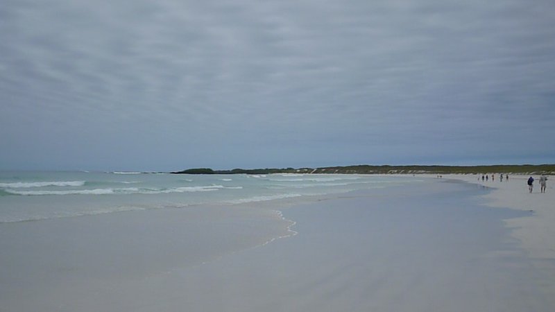 Tortuga Bay beach on Santa Cruz Island in the Galápagos