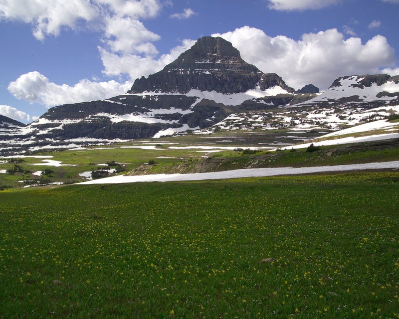 Alpine panorama from Logan Pass