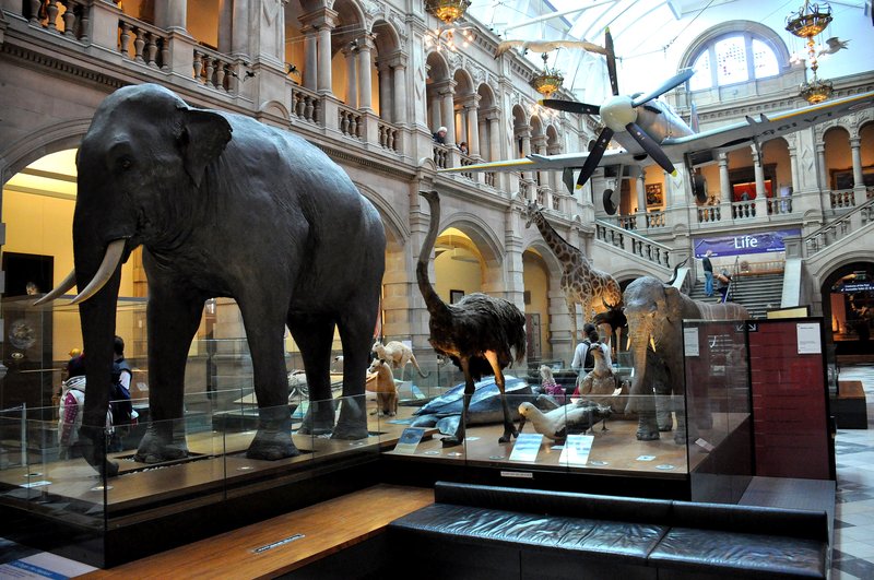 Kelvingrove Art Gallery and Museum
