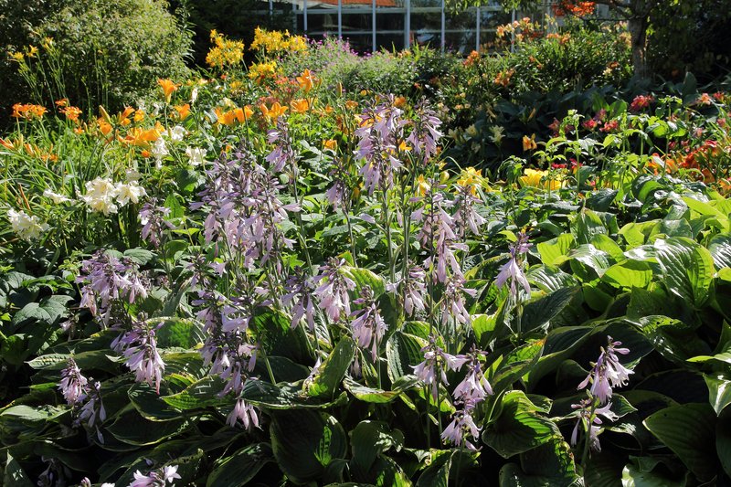 Gothenburg Botanical Garden