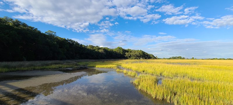 Fish Haul Creek salt marsh boardwalk