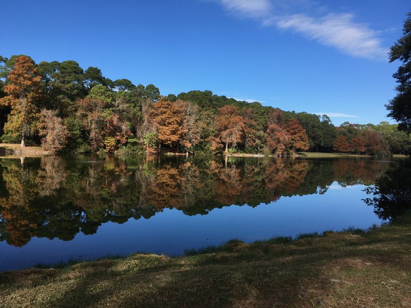 Sea Pines Forest Preserve