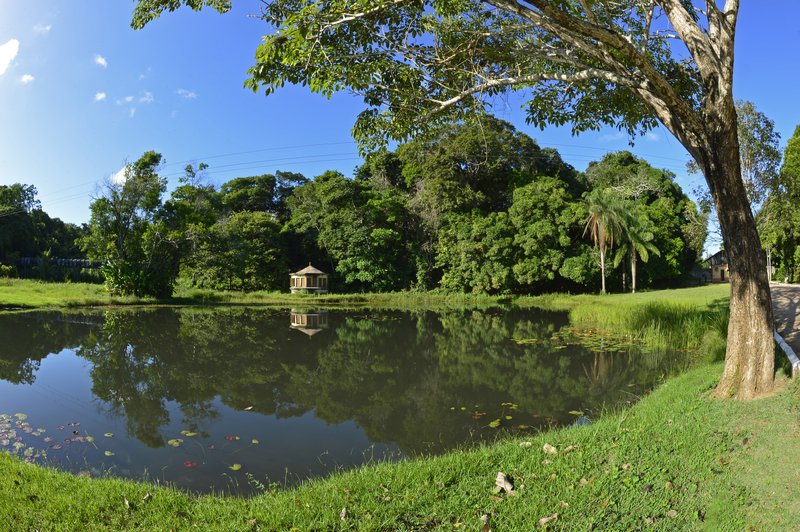 Jardim Botânico Benjamim Maranhão