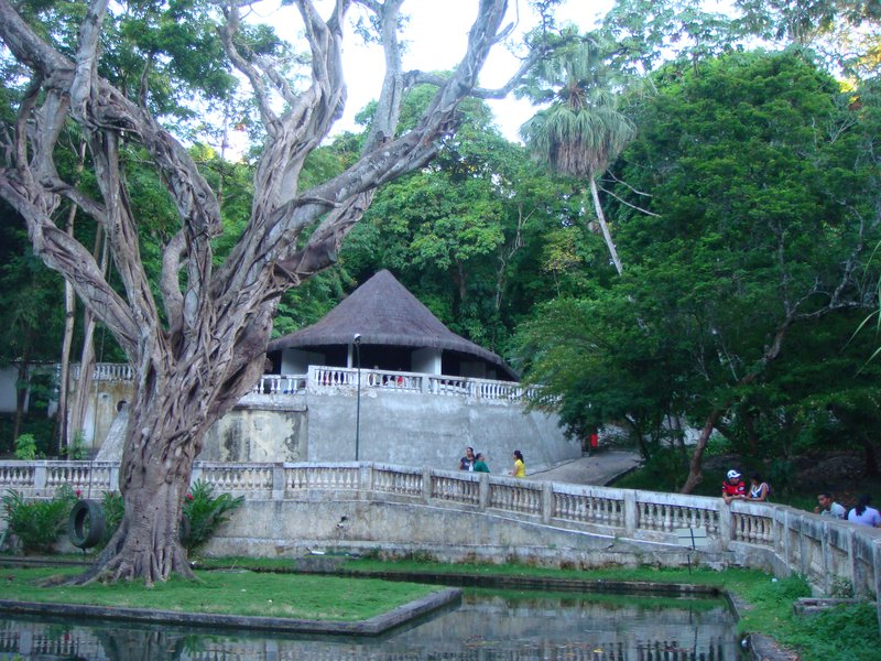 Parque Arruda Câmara Bica spring
