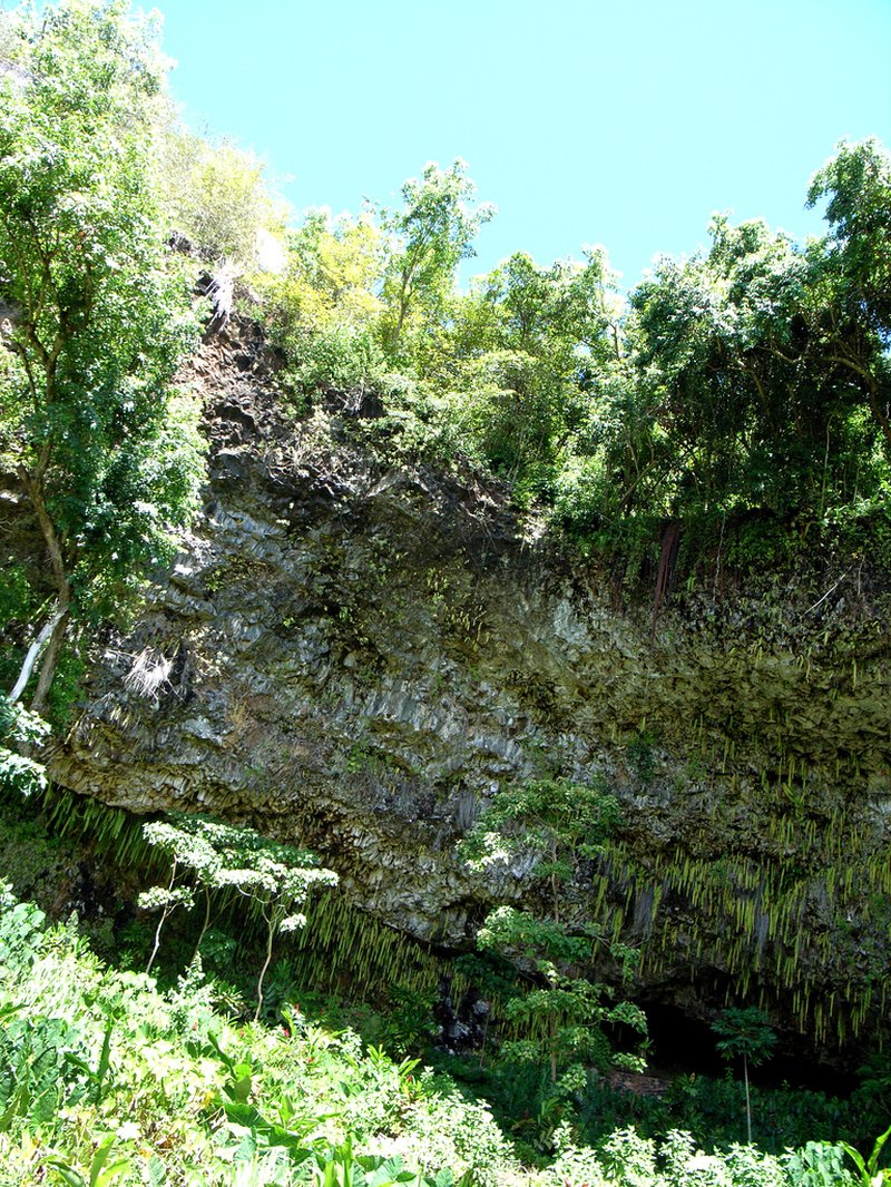 Fern Grotto lava rock amphitheatre on the Wailua River, Kauai