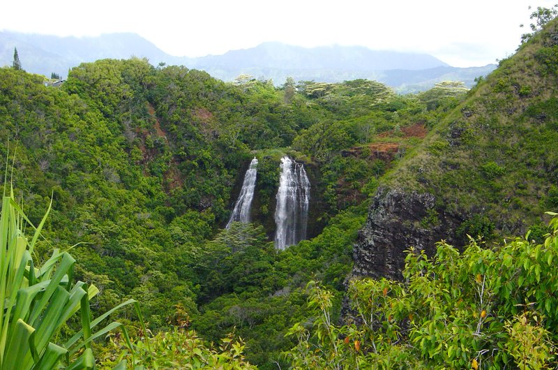 ʻŌpaekaʻa Falls double cascade, Wailua, Kauai