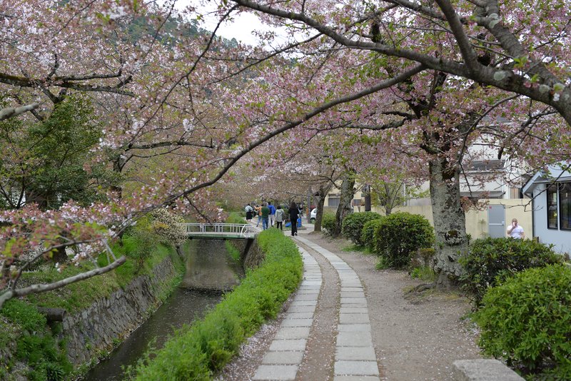 Philosopher's Path canal