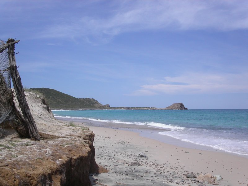 Cabo Pulmo reef, Baja California Sur