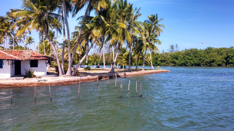 Calm waters of Lagoa Mundaú in Alagoas, Brazil