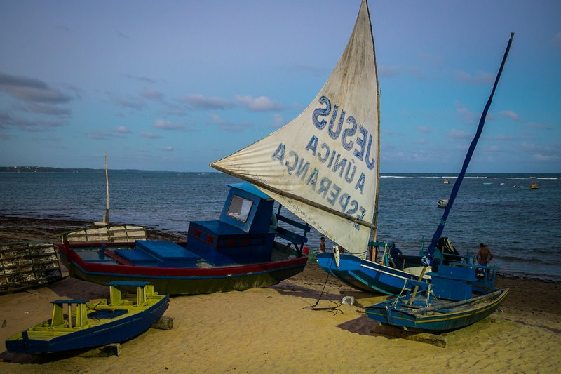 Coconut palms lining the beach at Praia de Jatiúca, Maceió