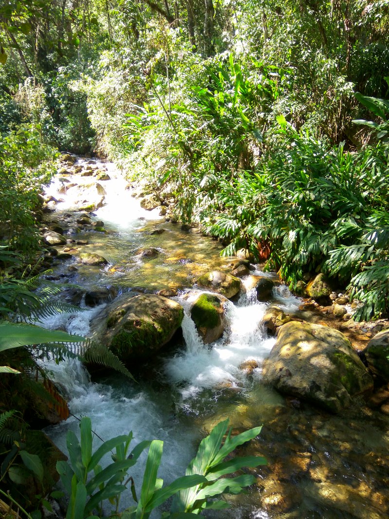Jardines de Mandor waterfall and cloud forest, Aguas Calientes