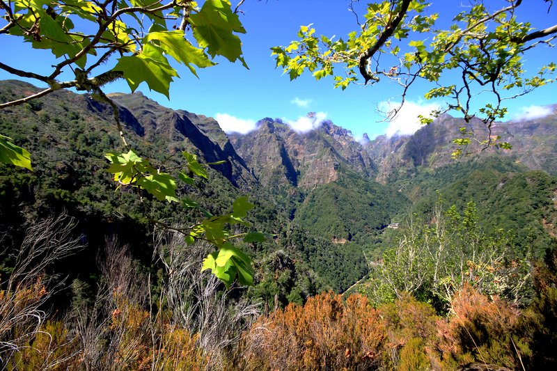 Ribeiro Frio levada walk laurisilva forest Madeira