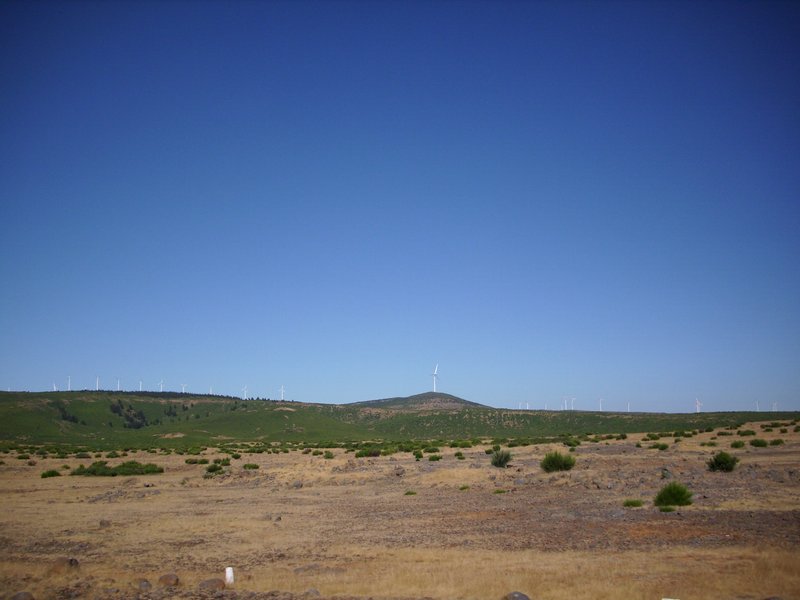 Paul da Serra high plateau moorland wind turbines Madeira