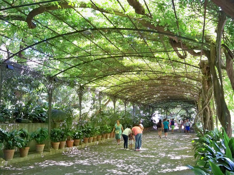La Concepción Botanical Garden