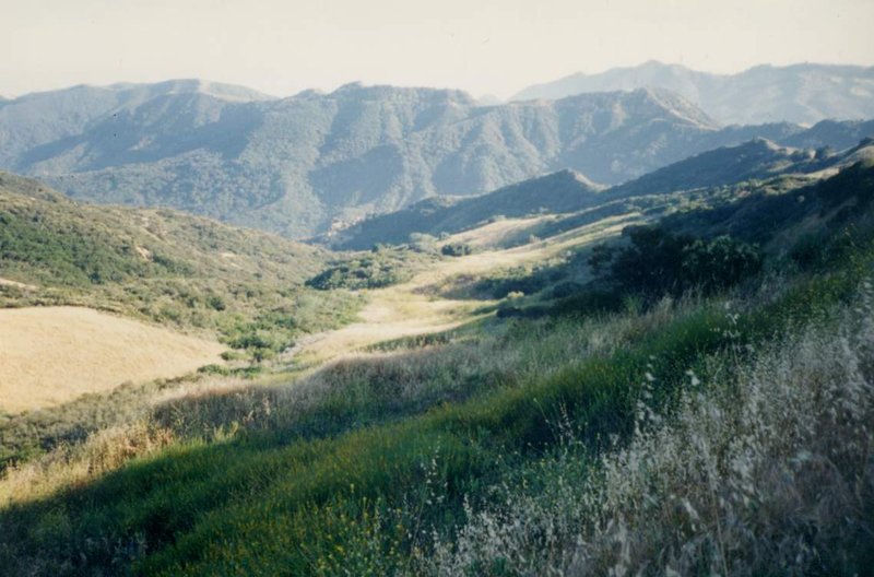 Trippet Ranch Topanga State Park