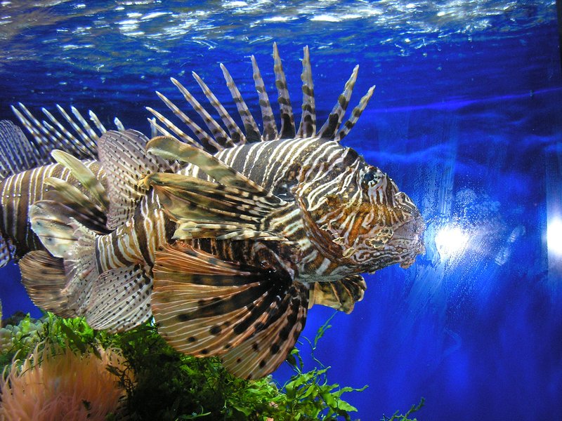 Oceanographic Museum of Monaco
