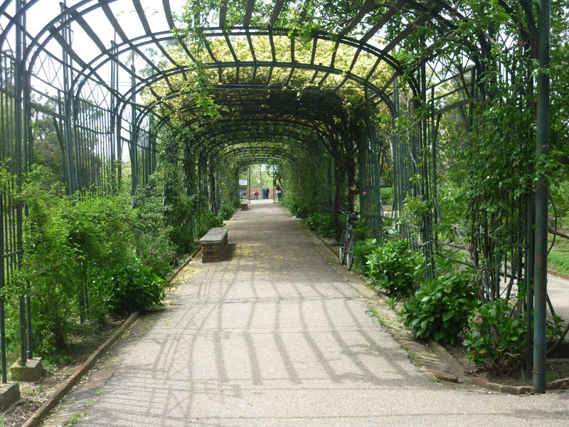 Rosedal del Prado