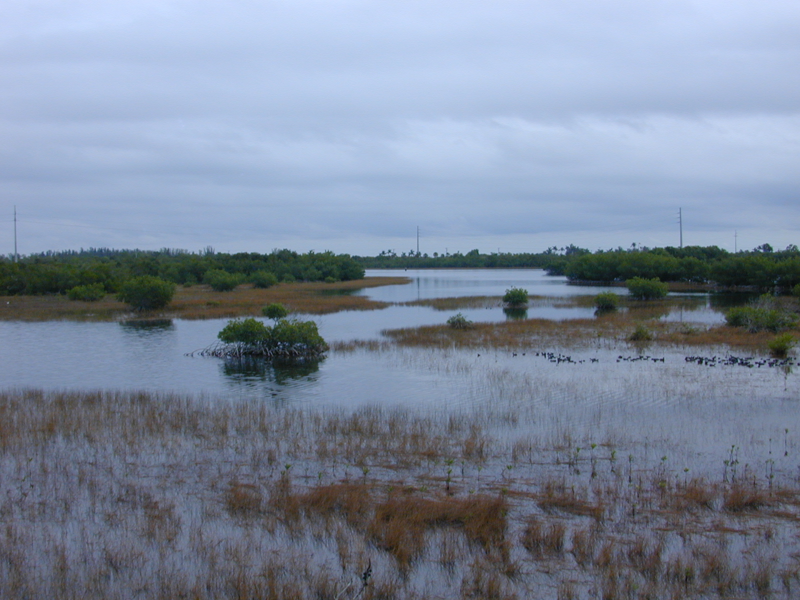 Rookery Bay National Estuarine Research Reserve